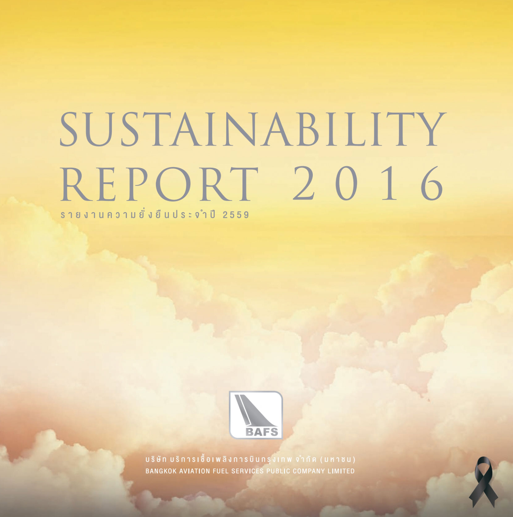 Sustainability Report 2016